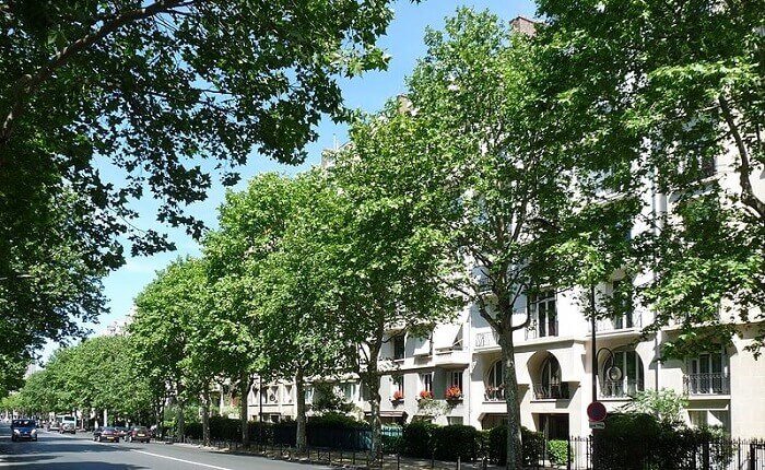 Boulevards des Maréchaux (Bulwary Marszałków) w Paryżu