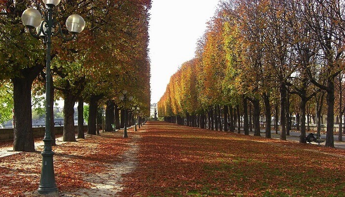 Co robić jesienią w Paryżu?